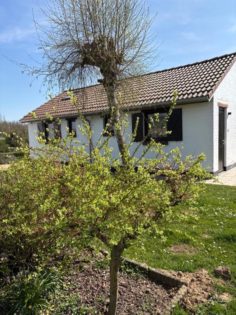 Mijn Kleinhof Villa Westouter Exterior photo
